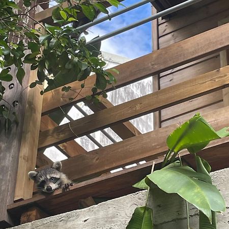Bungalow Nature Gosier Centre เลอโกซิเยร์ ภายนอก รูปภาพ