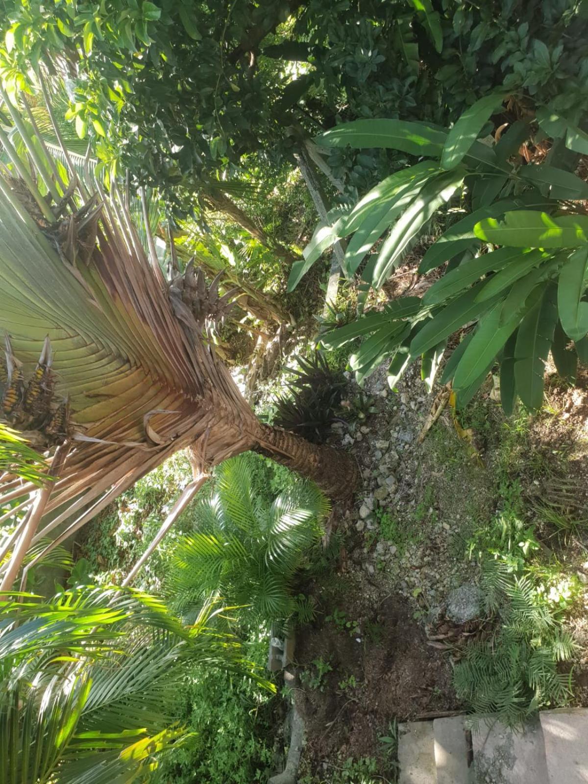 Bungalow Nature Gosier Centre เลอโกซิเยร์ ภายนอก รูปภาพ